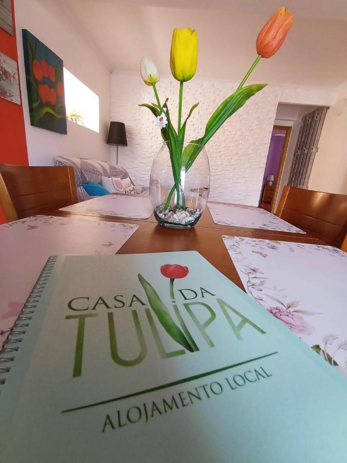 شقة Casa Da Tulipa Cabo Branco المظهر الخارجي الصورة